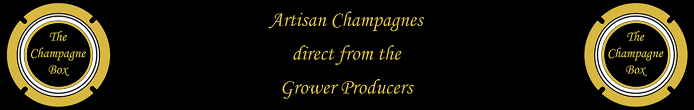 Banner image that says Artisan Champagnes direct from the Grower Producer between The Champagne Box logos